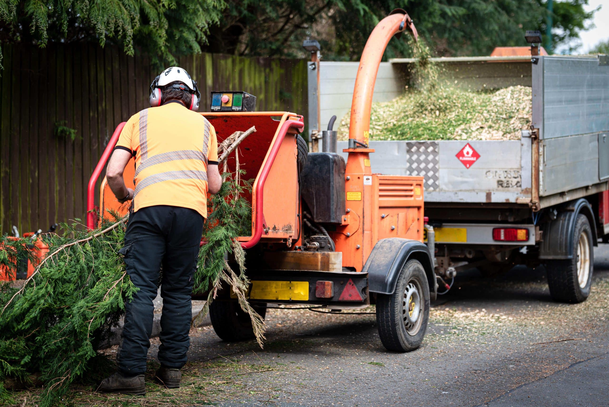 Tree Stump Grinding/Removal New Malden KT3